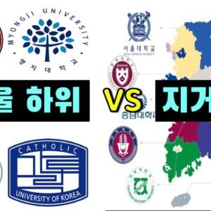 인서울 중위권 및 수도권 주요 대학과 지방 거점 국립 대학(지거국)의 취업률, 인턴십 인프라, 전공 적합성을 비교 분석한 대표 이미지