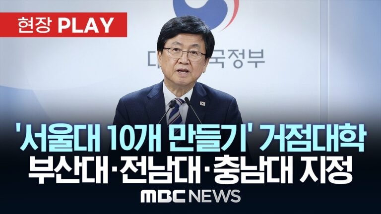 고3 수험생이 수시 원서 접수 전 세특 생기부 내용을 점검하는 인포그래픽 일러스트